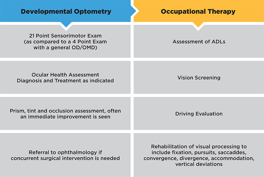 developmental optometry graphic