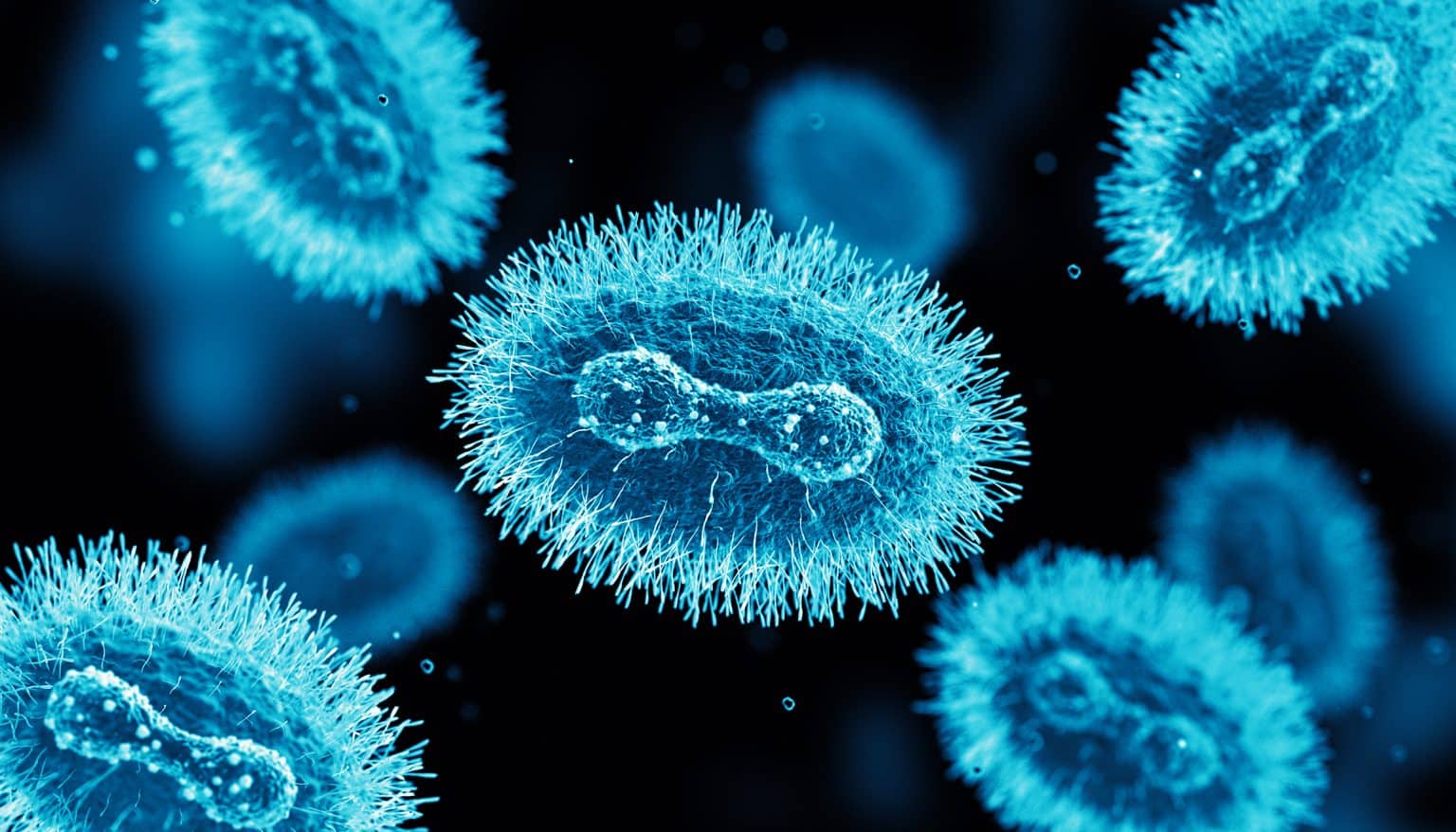 Monkeypox Virus Cells
