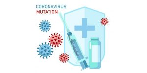 covid-19 vaccine graphic, dr caitlin eccles-radtke, viruses do what they do, new flu vaccines every year, new strains of covid-19, helping the body develop immunity, getting people vaccinated