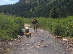 charlene barron with her dog walking through a stream, 9-time Ironman Triathlete holds fundraiser, support brain injury research at HCMC