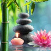 holistic candle stones water lily